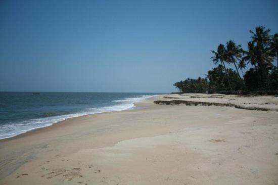 Fool'S Paradise Homestay Alappuzha Kültér fotó